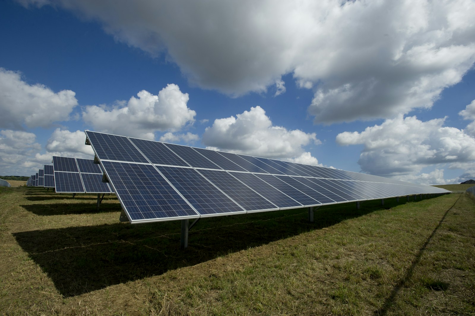Solar & Renewable Energy